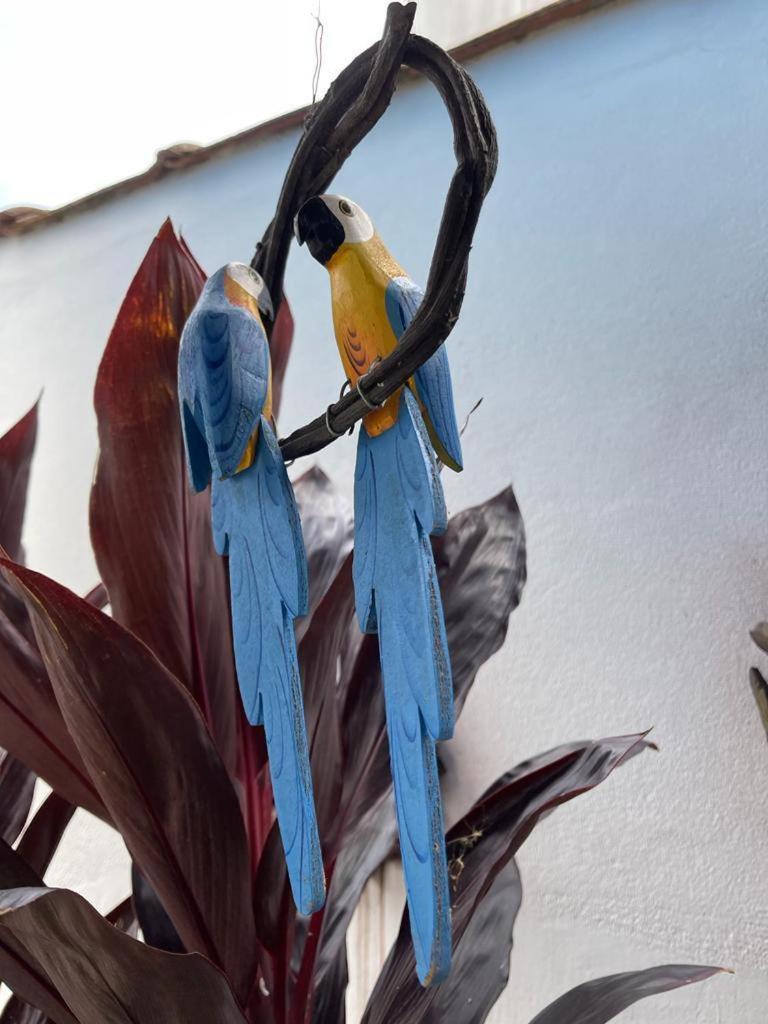 Chales Camburi サンセバスチャン エクステリア 写真